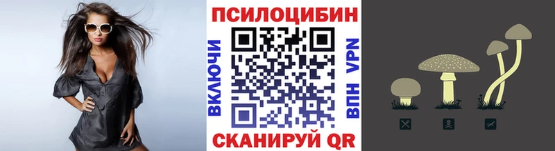 Псилоцибиновые грибы прущие грибы  hydra   Усть-Лабинск 